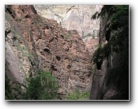 [Click to enlarge image]
